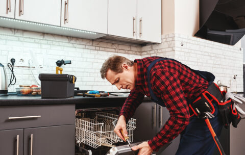 All instruments are included. Male technician standing near dishwasher